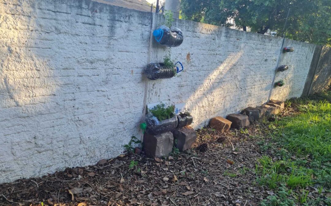 Cultivando nossa hortinha: integrando plantas medicinais, sustentabilidade e tecnologia no Ensino Fundamental